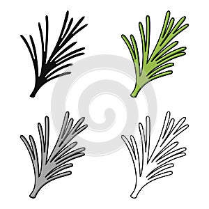 Rosemary icon in cartoon style isolated on white background. Herb an spices symbol stock vector illustration.