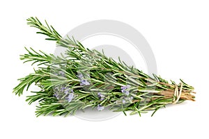 Rosemary isolated on white