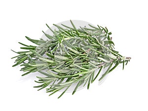 Rosemary isolated on white background. Top view