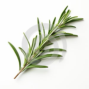 Rosemary Leaf On White Background - Minimalist Creative Commons Attribution Image