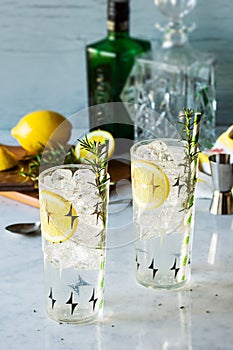 Rosemary Lemon Gin Fizz Alcoholic Cocktail