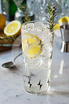 Rosemary Lemon Gin Fizz or Vodka Smash Cocktail photo