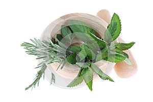 Rosemary and mint in a wooden pounder photo