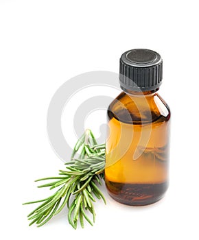 Rosemary oil photo