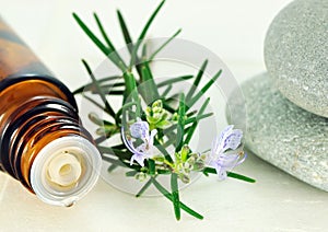 Rosemary Oil photo