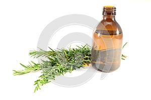 Rosemary oil photo