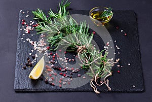 Rosemary plant, salt and spices on black slate board