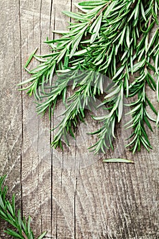 Rosemary plant on wooden rustic table from above, fresh organic herbs with copy space for text.