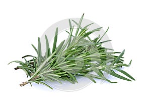 Rosemary