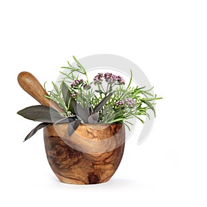 Rosemary, Sage and Marjoram Herbs