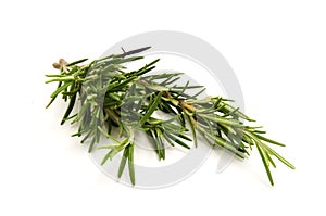 Rosemary Sprig