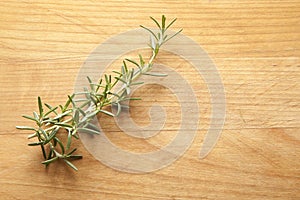 Rosemary Sprig on Cutting Board