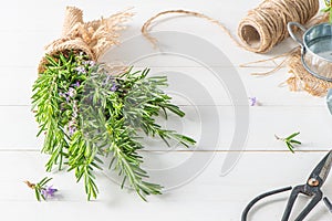 Rosemary sprigs bunch nestled inside a burlap bag tied with twine on wooden background. Fresh organic herbs with copy space for