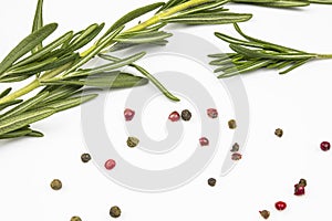 Rosemary sprigs, scattered pepper isolated on a white background