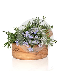 Rosemary and Thyme Herbs