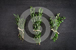 Rosemary Thyme Herbs