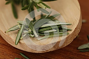 Rosemary on a wooden spoon