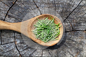 Rosemary on a wooden spoon on a tree trunk