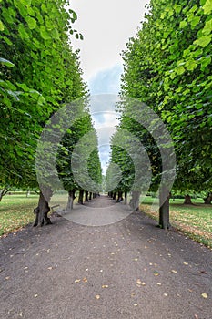 Rosenborg Castle Path