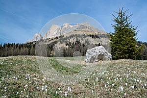 Rosengarten Group, South Tyrol, Italy