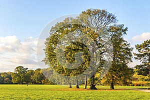 Rosenthal forest park in Leipzig city, Saxony, Germany