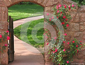 Roses around Gated Entrance