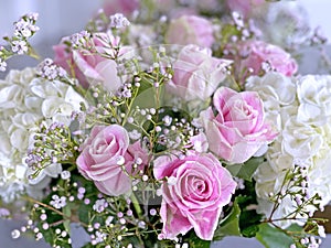 Roses and baby' s breath