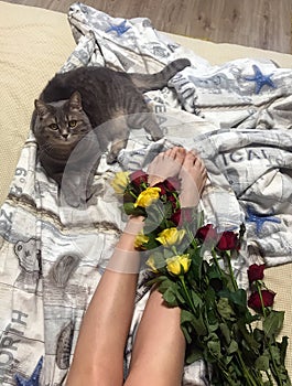 Roses and cat