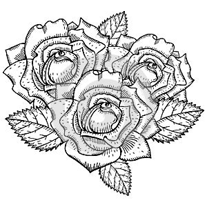 Roses black and white drawing tattoo