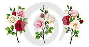 Roses. Branches with red, pink, and white rose flowers. Vector illustration