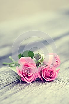 Roses bunch on old wooden background.