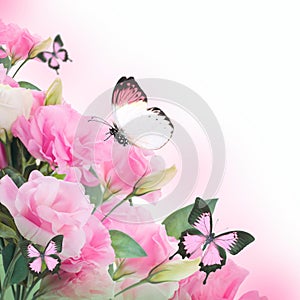 Roses and butterfly, floral background