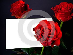 Roses with card 1