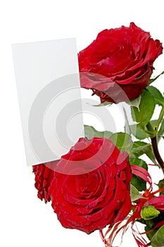 Roses with card