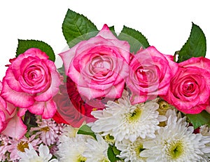 Roses and chrysanthemus on white background