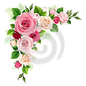 Roses corner border. Red, pink, and white roses corner design element. Vector illustration