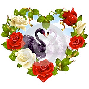 Roses and couple Swans