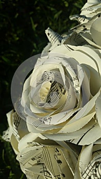 Roses Created from Book Pages