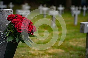 Rose sul attraverso sul Tedesco militare la guerra cimitero 