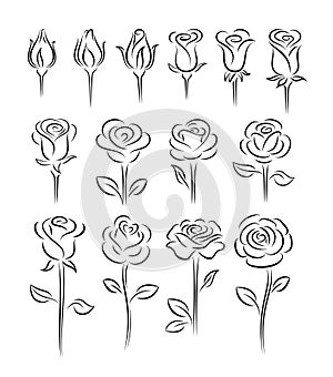 Roses design elements