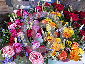 Roses in different colores in a street celebration