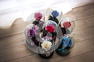 Roses in a flask under the glass. As a gift for the holiday.
