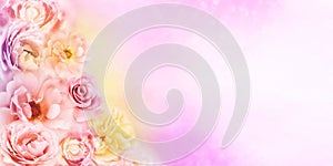 Roses flower banner background in vintage tone with copy space design for valentine and wedding cards