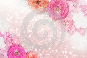 Roses flower border glitter background pastel tone