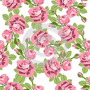 Roses flowers seamless pattern.
