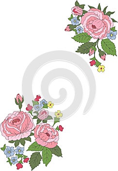 roses and flowers. vector floral design elements