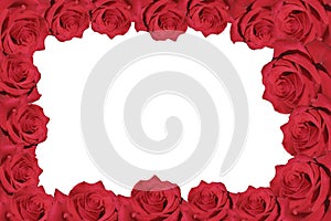 Roses, frame of roses, place for text, place for congratulations