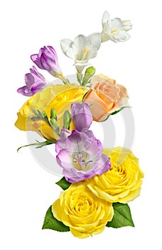 Roses & Freesia isolated