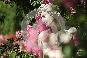Roses and gods statue in the rose garden Beutig in Baden-Baden