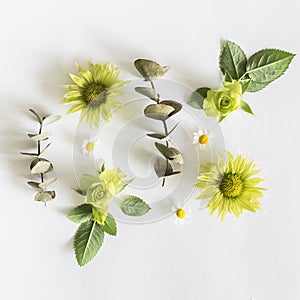 Roses, green flowers and leaves on white background.